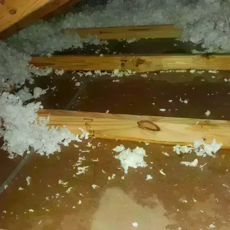 Attic Water Damage in Mustang, OK