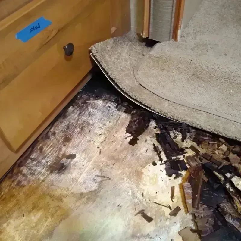 Wood Floor Water Damage in Mustang, OK